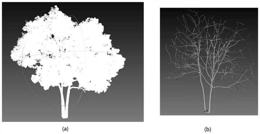 Method for simulating influence of real trees on migration of street pollutants
