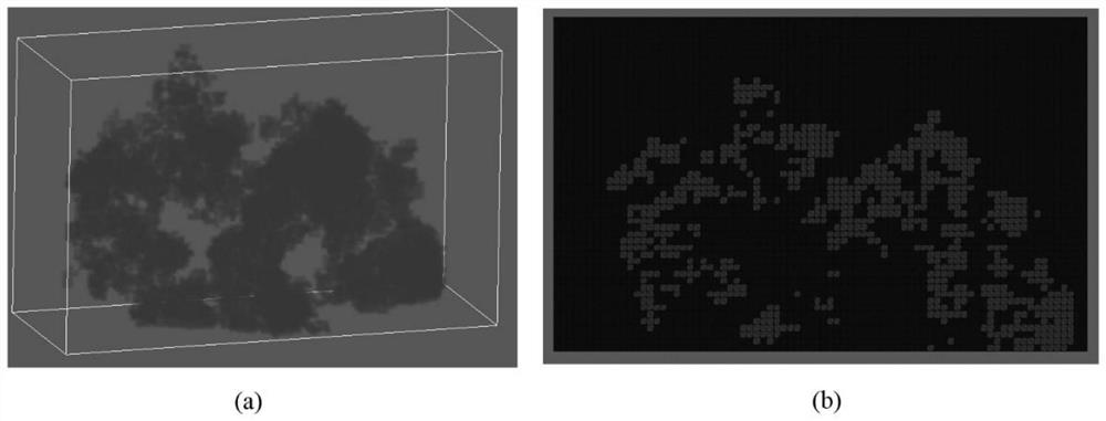 Method for simulating influence of real trees on migration of street pollutants