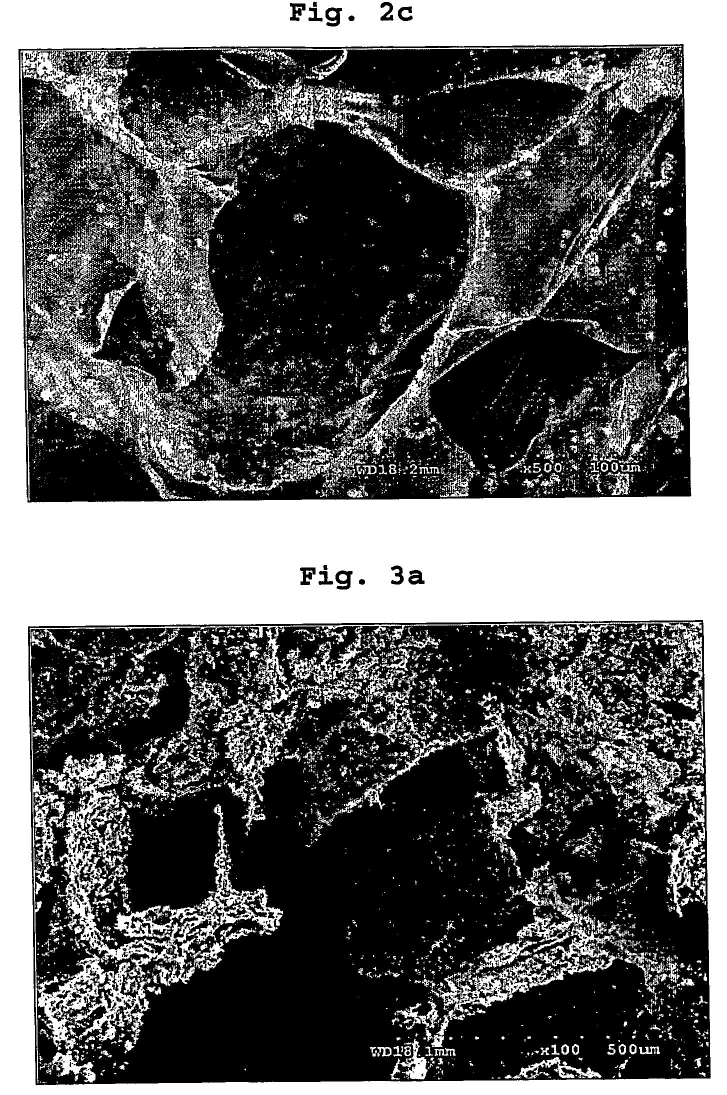 Process for preparing porous hybrid comprising zeolite and chitosan and poruos hybrid prepared thereby