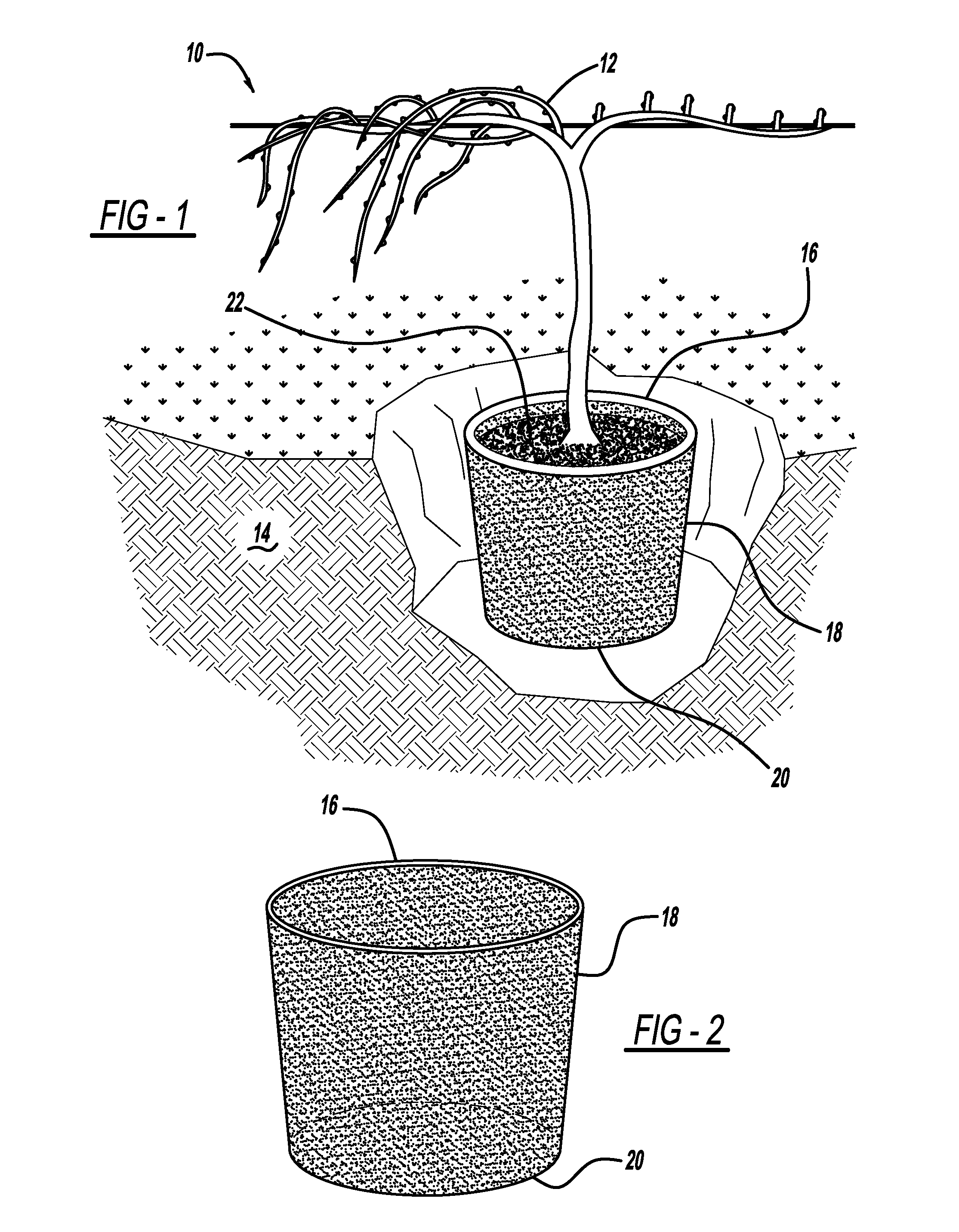 Method of Growing Grapevines
