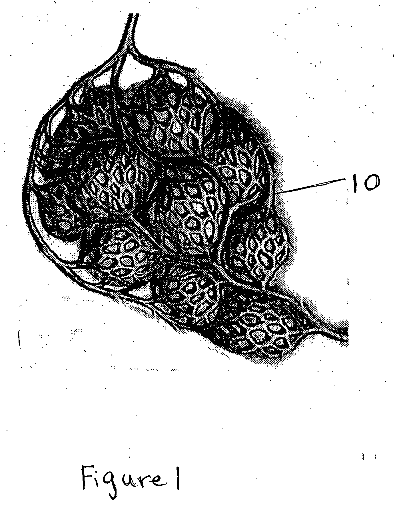 Particle/cell separation device and compositions