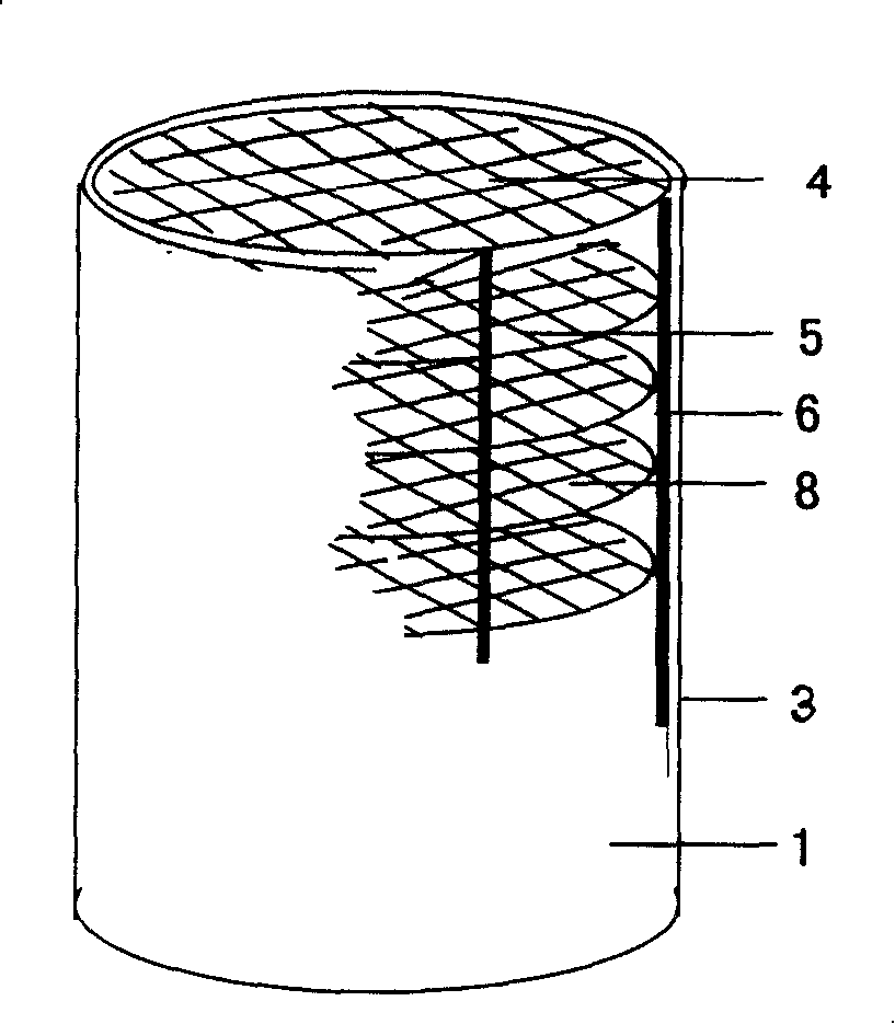 Corn roots space-time structure measuring device