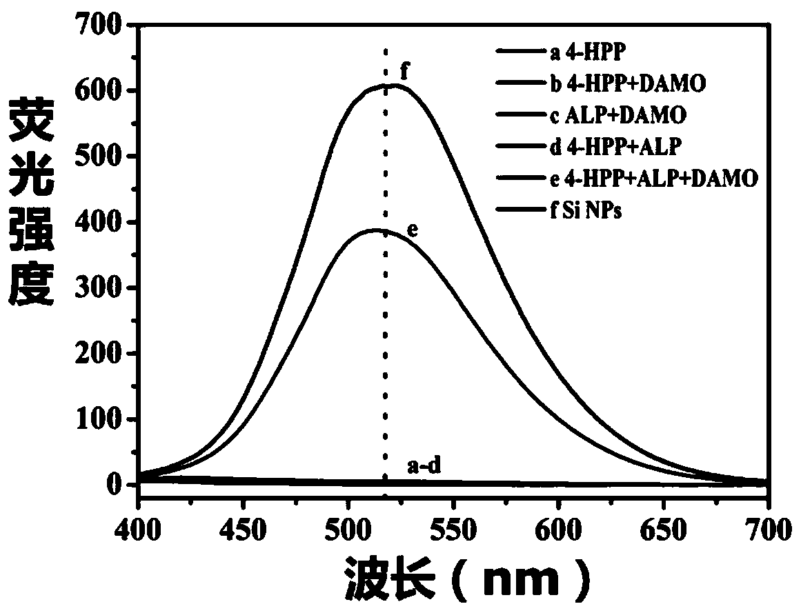 Fluorescence detection method for activity of alkaline phosphatase