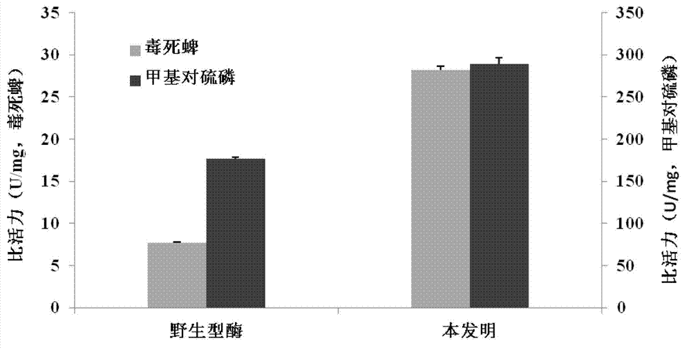 Organophosphorus pesticide degrading enzyme transformed through mutation and encoding gene thereof