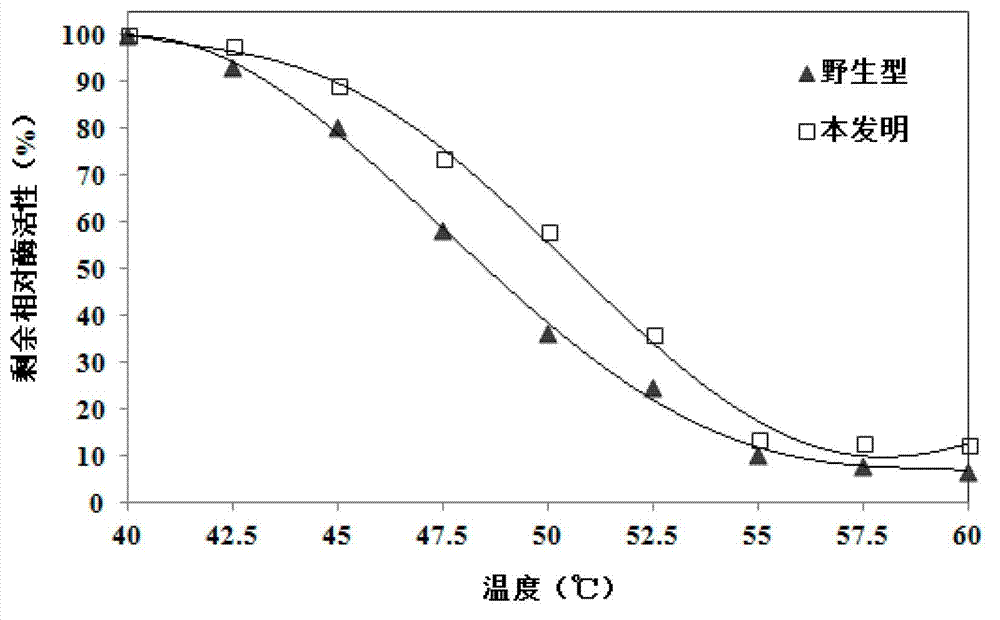 Organophosphorus pesticide degrading enzyme transformed through mutation and encoding gene thereof