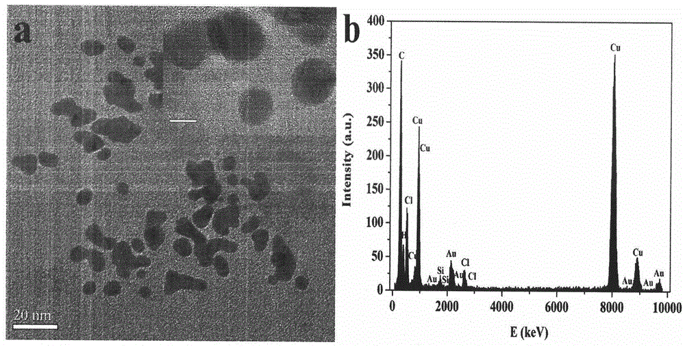 Preparation method of fluorescent gold nanocluster functionalized with fluorescent probe folic acid