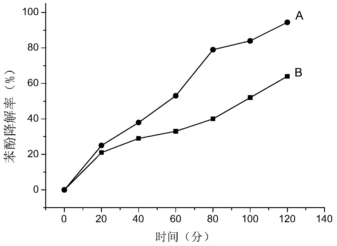 2-ethylanthraquinone/activated carbon-expanded graphite composite electrode, and preparation method and application thereof