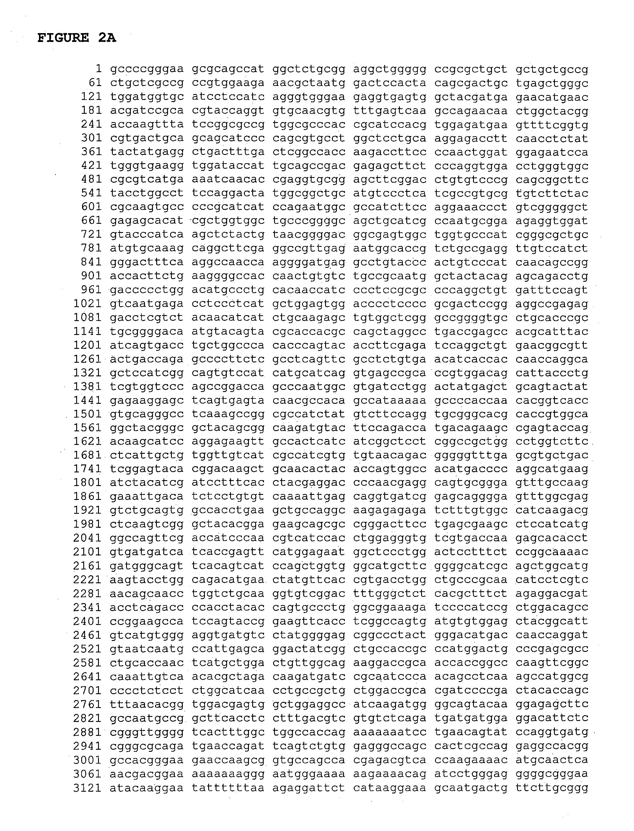 Cancer prognostic diagnostic and treatment methods