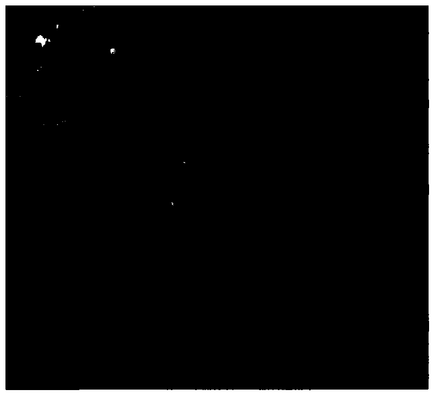 A traditional Chinese medicine compound composition for treating chronic atrophic gastritis and precancerous lesions and its preparation method and preparation