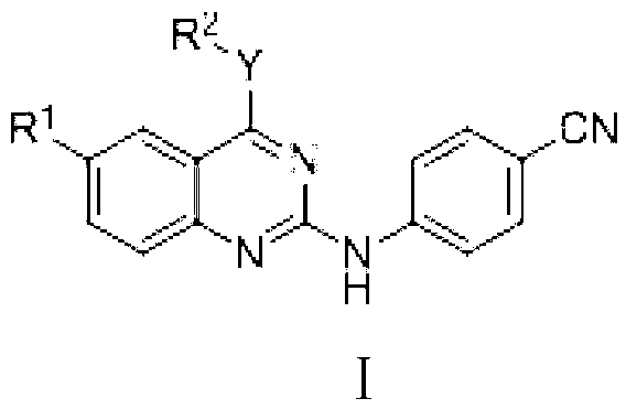 Diaryl benzo pyridine derivative, and its pharmaceutical composition and use thereof