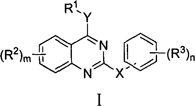 Diaryl benzo pyridine derivative, and its pharmaceutical composition and use thereof