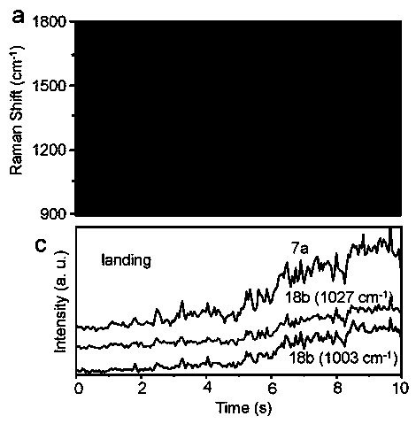 Single-molecule detection method based on dynamic Raman spectrum