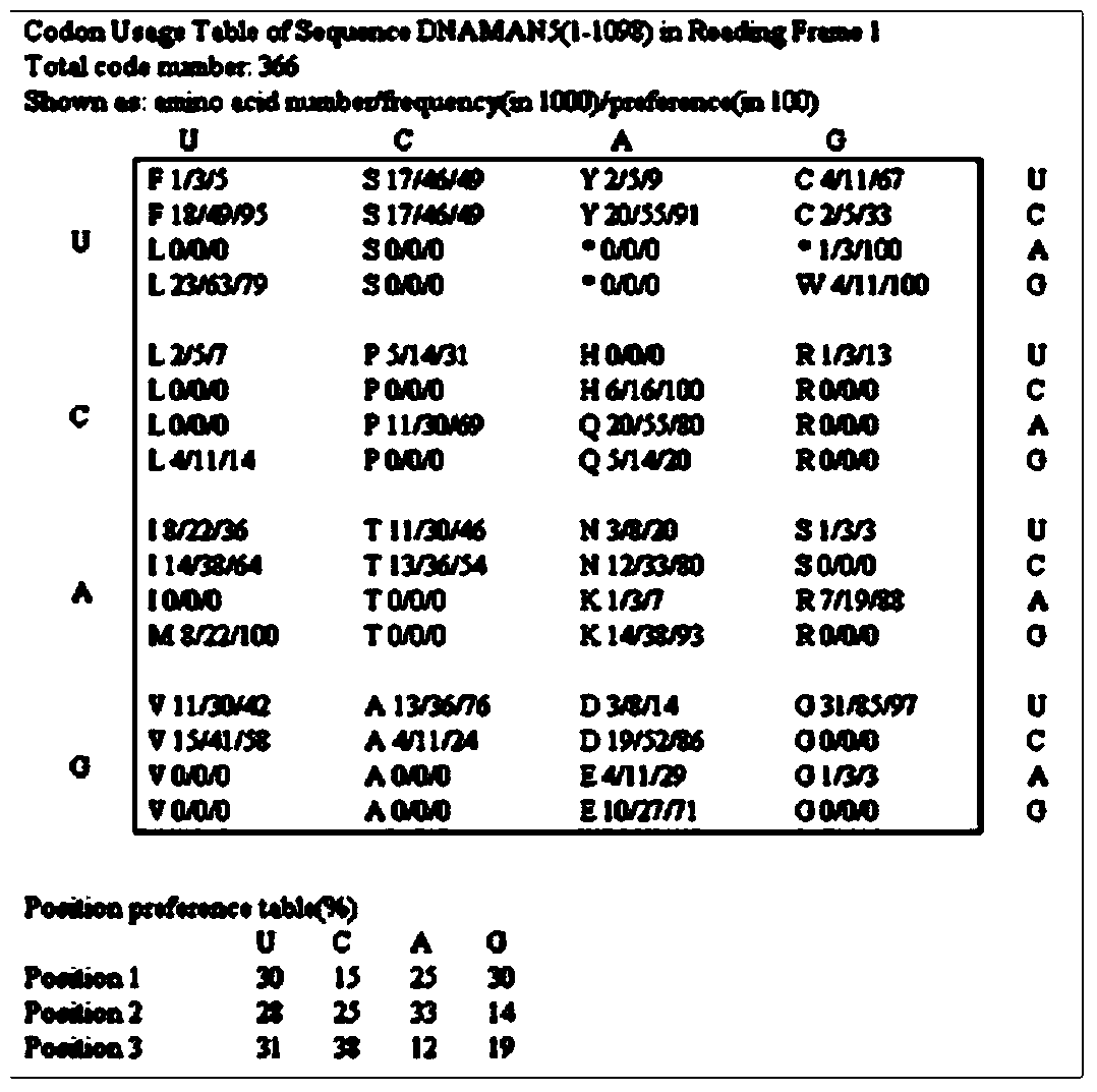 Optimized cattle chymosin proto-gene and secretory expression method and application thereof