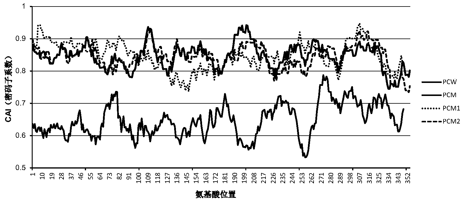 Optimized cattle chymosin proto-gene and secretory expression method and application thereof