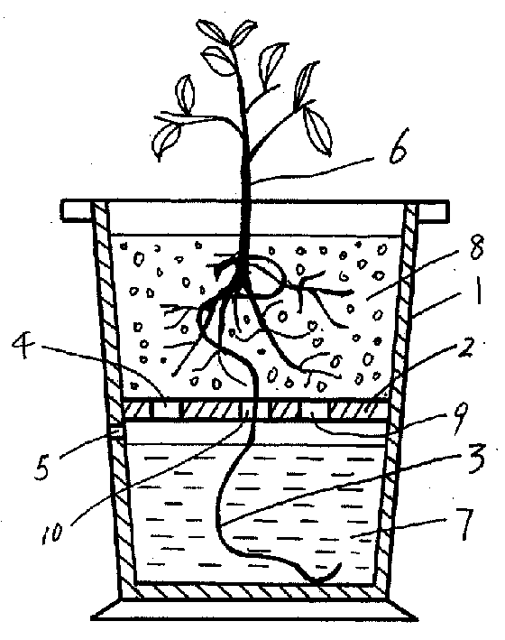 Automatic water-saving dip-irrigating flower pot