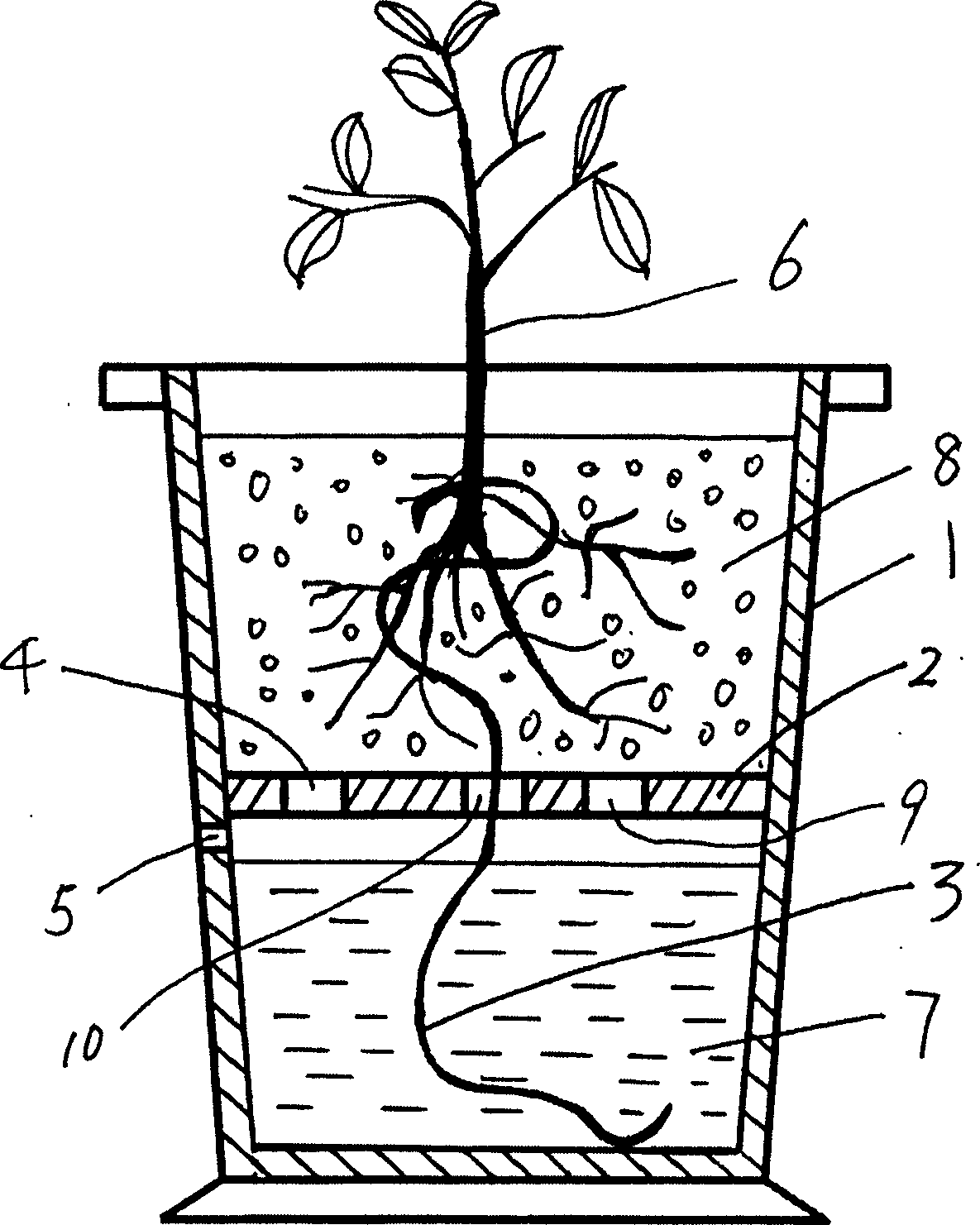 Automatic water-saving dip-irrigating flower pot