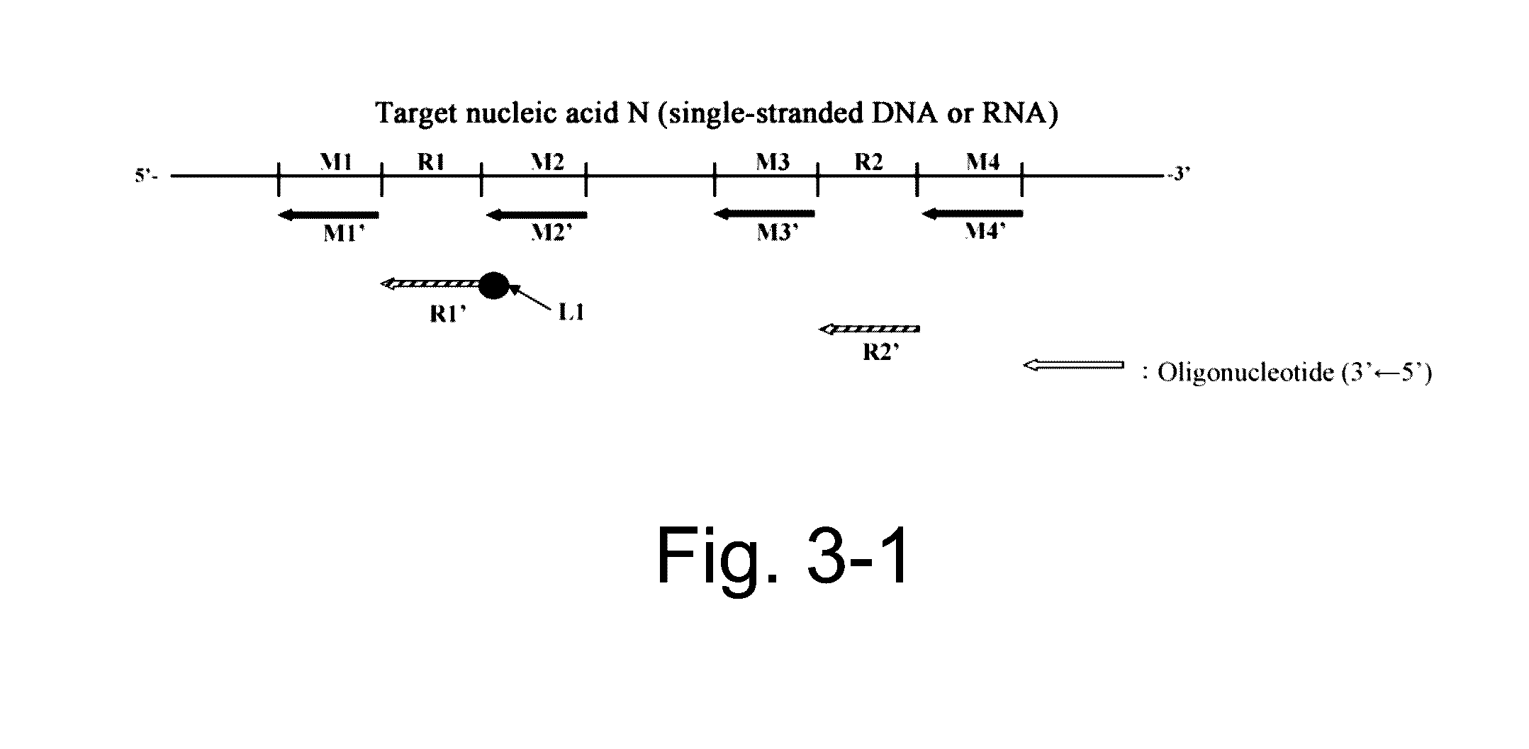 Nucleic acid detection or quantification method using mask oligonucleotide, and device for same