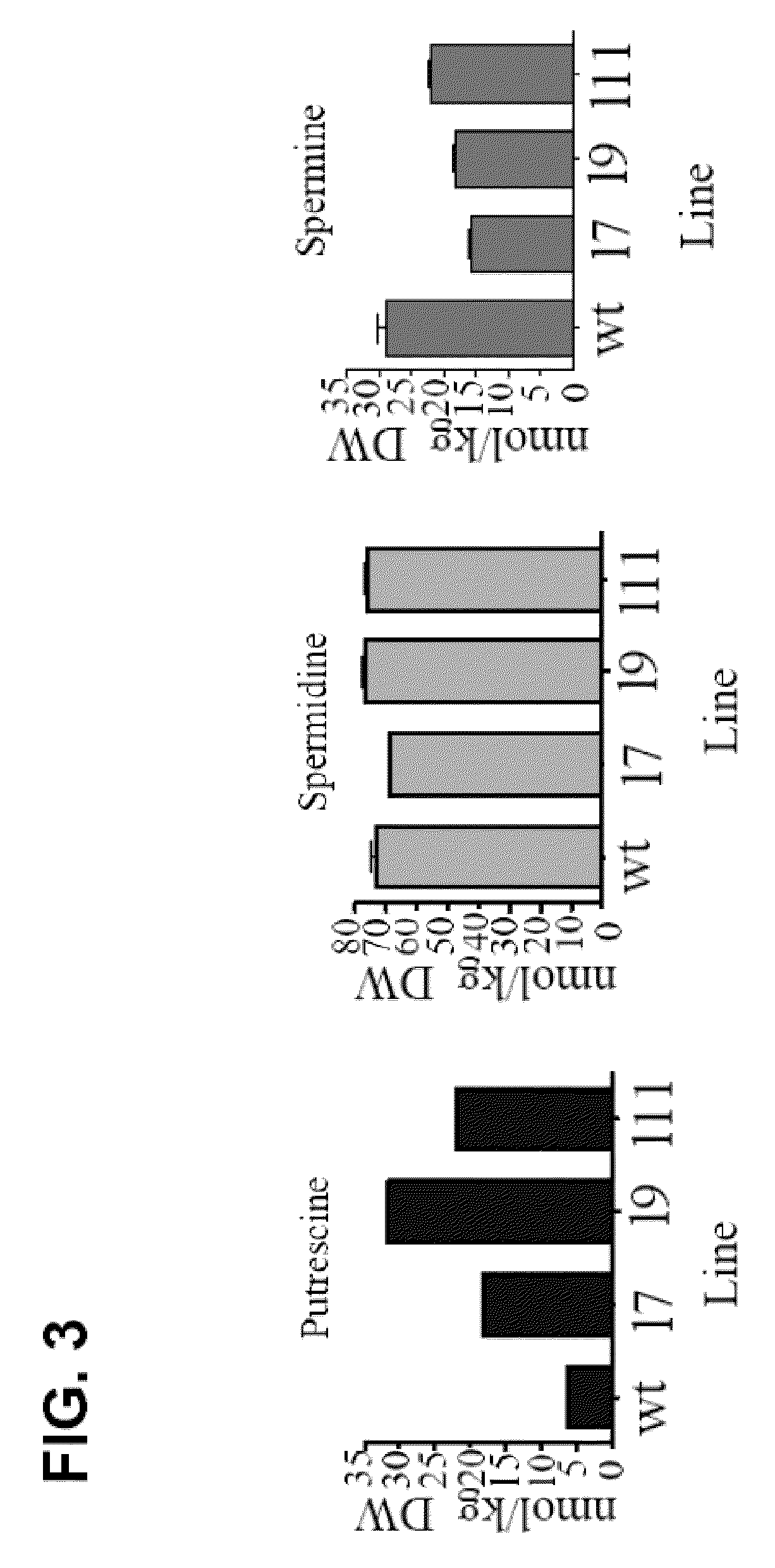 Plant having resistance to low-temperature stress and method of production thereof