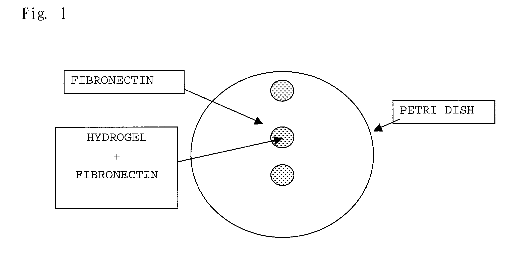 Cellulose derivative and method for production thereof