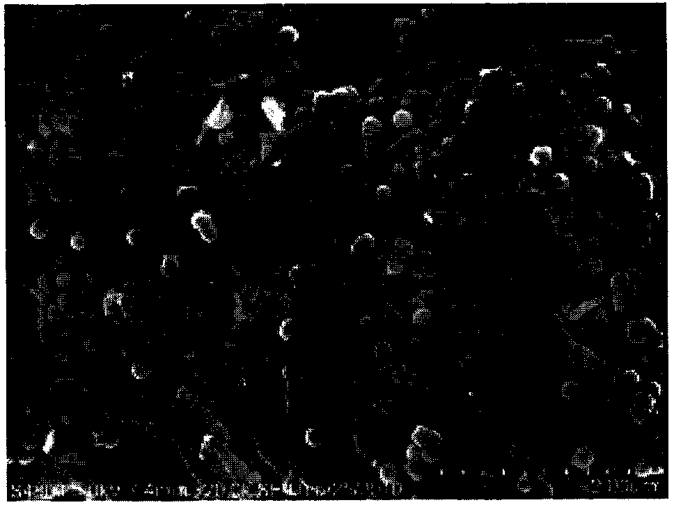 Preparation method of negative active material, negative active material and lithium ion battery