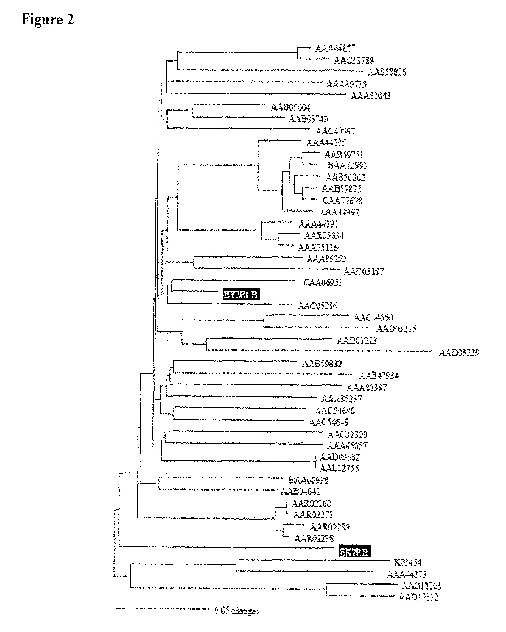 Vaccines and methods for using the same