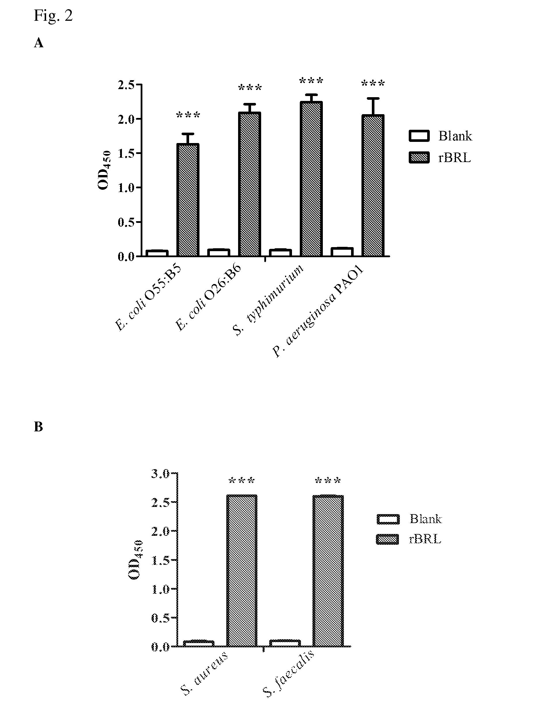 Recombinant bacteria recognizing protein and uses thereof