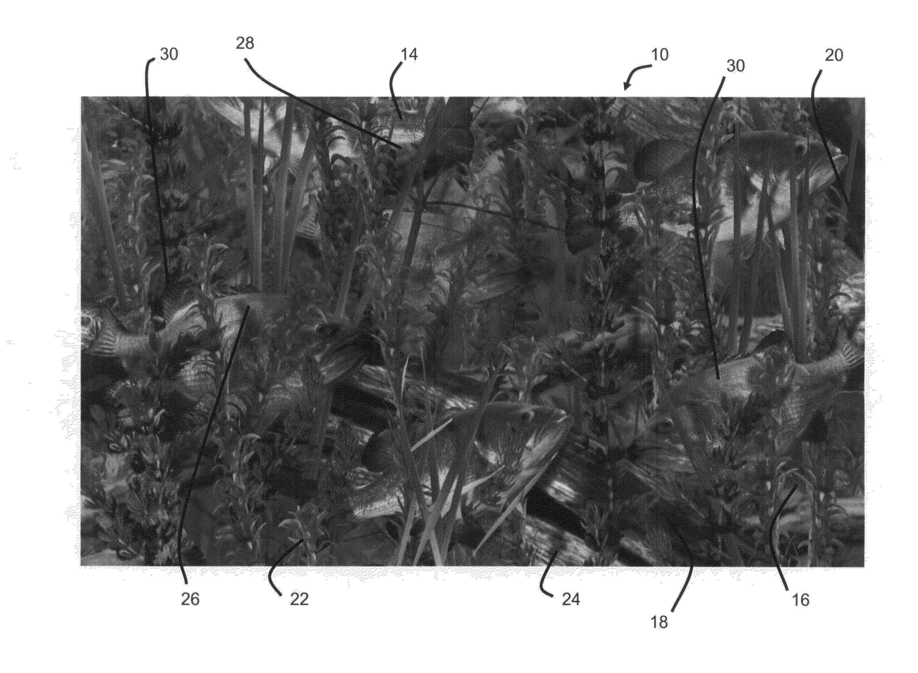 Camouflage pattern and method of making same