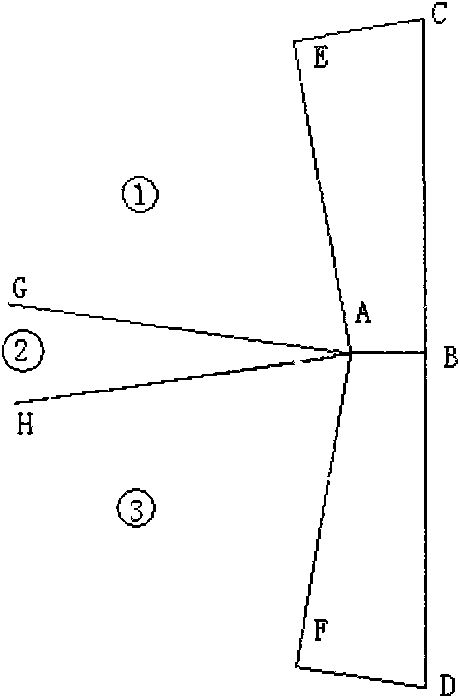 Rotary piston type engine