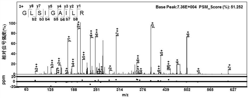 Mycobacterium tuberculosis h37rv coding gene and its application