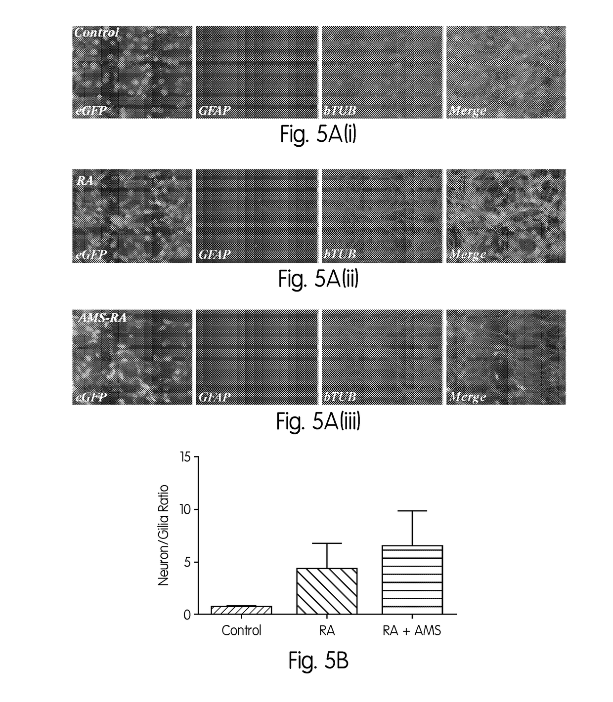 Method for stem cell differentiation in vivo by delivery of morphogenes with mesoporous silica and corresponding pharmaceutical active ingredients