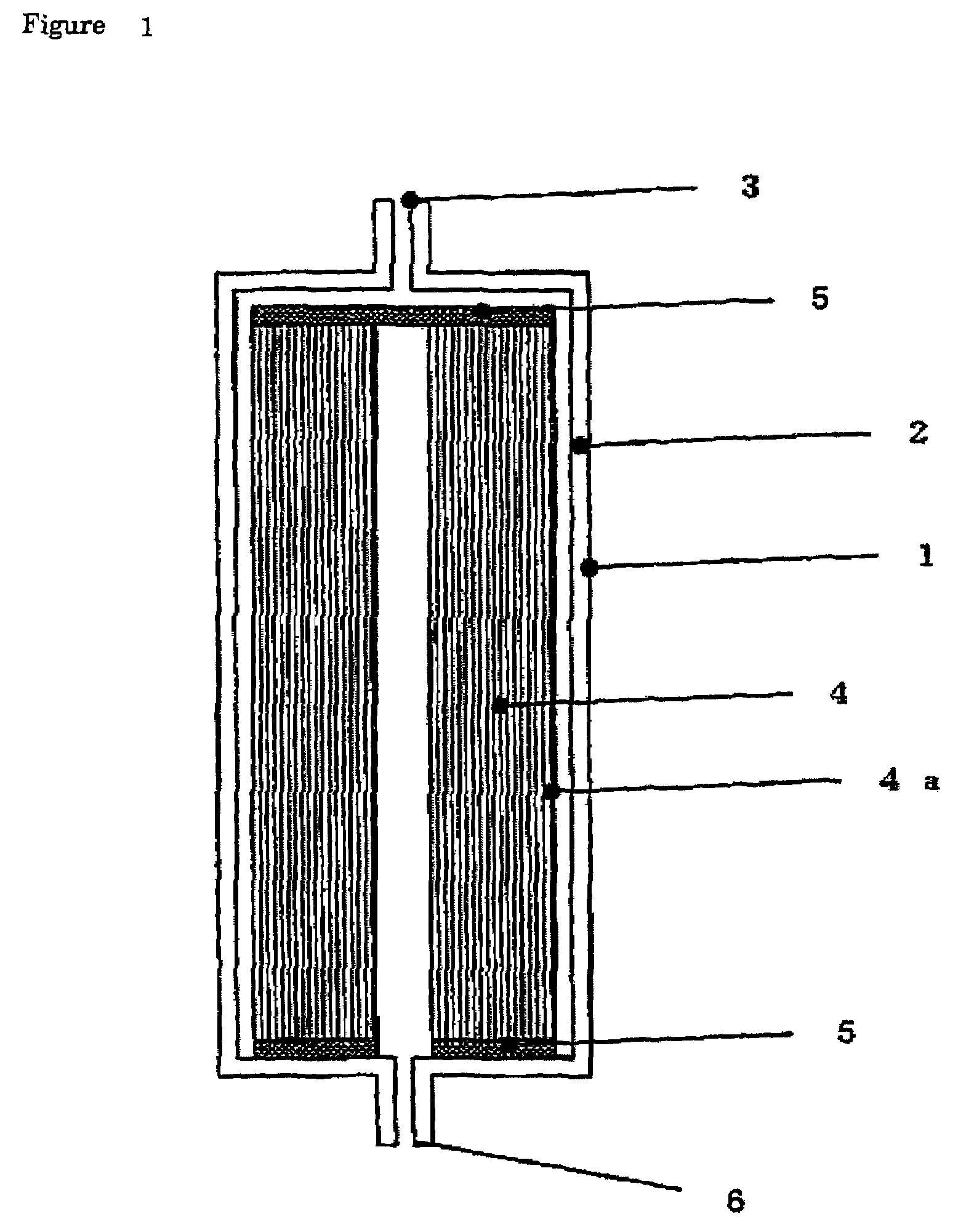 Biocompatible polymer and filter for selectively eliminating leucocytes using the same