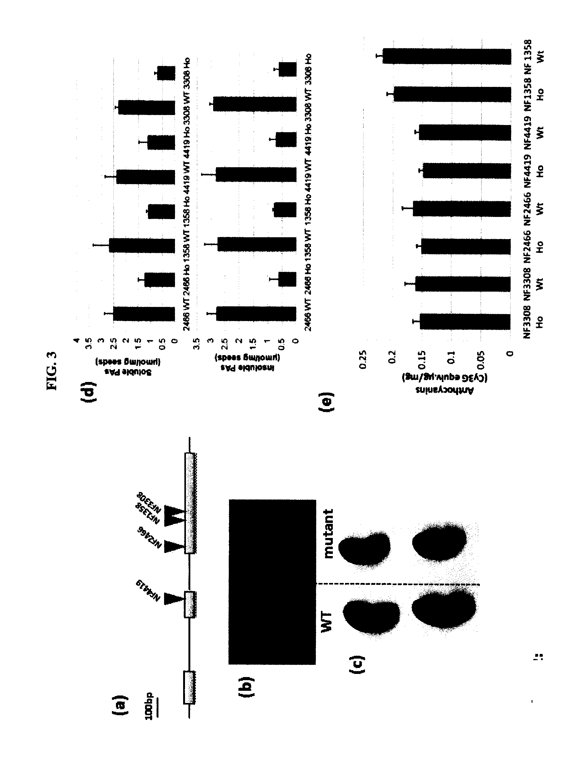 Methods and compositions for regulating production of proanthocyanidins