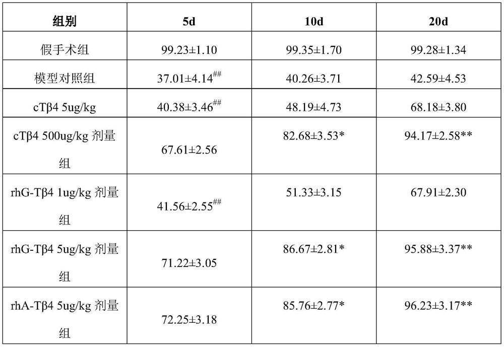 Use of modified thymosin β4 in the treatment of radiation enteritis