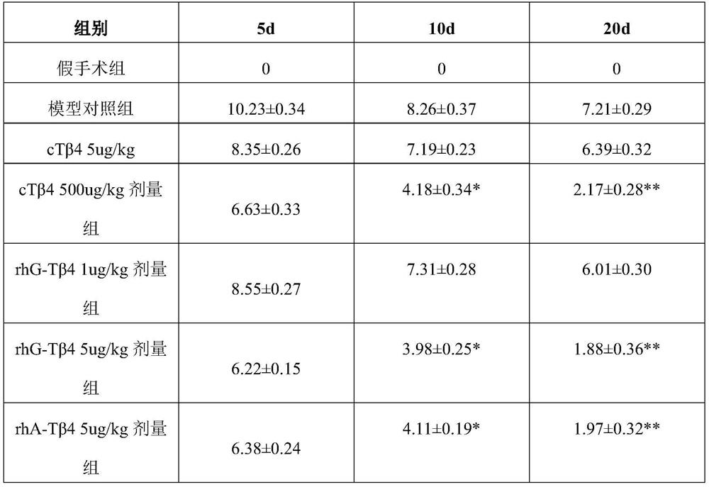 Use of modified thymosin β4 in the treatment of radiation enteritis