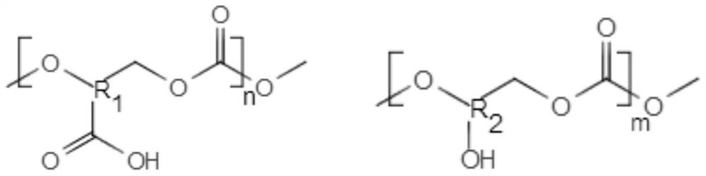 A kind of preparation method of all-solid polymer electrolyte and all-solid polymer battery