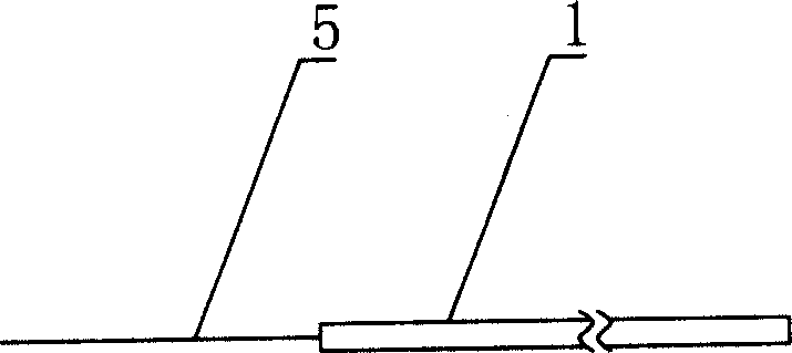 Microelectrode for recording laboratory animal visual sense electrophysiological reaction