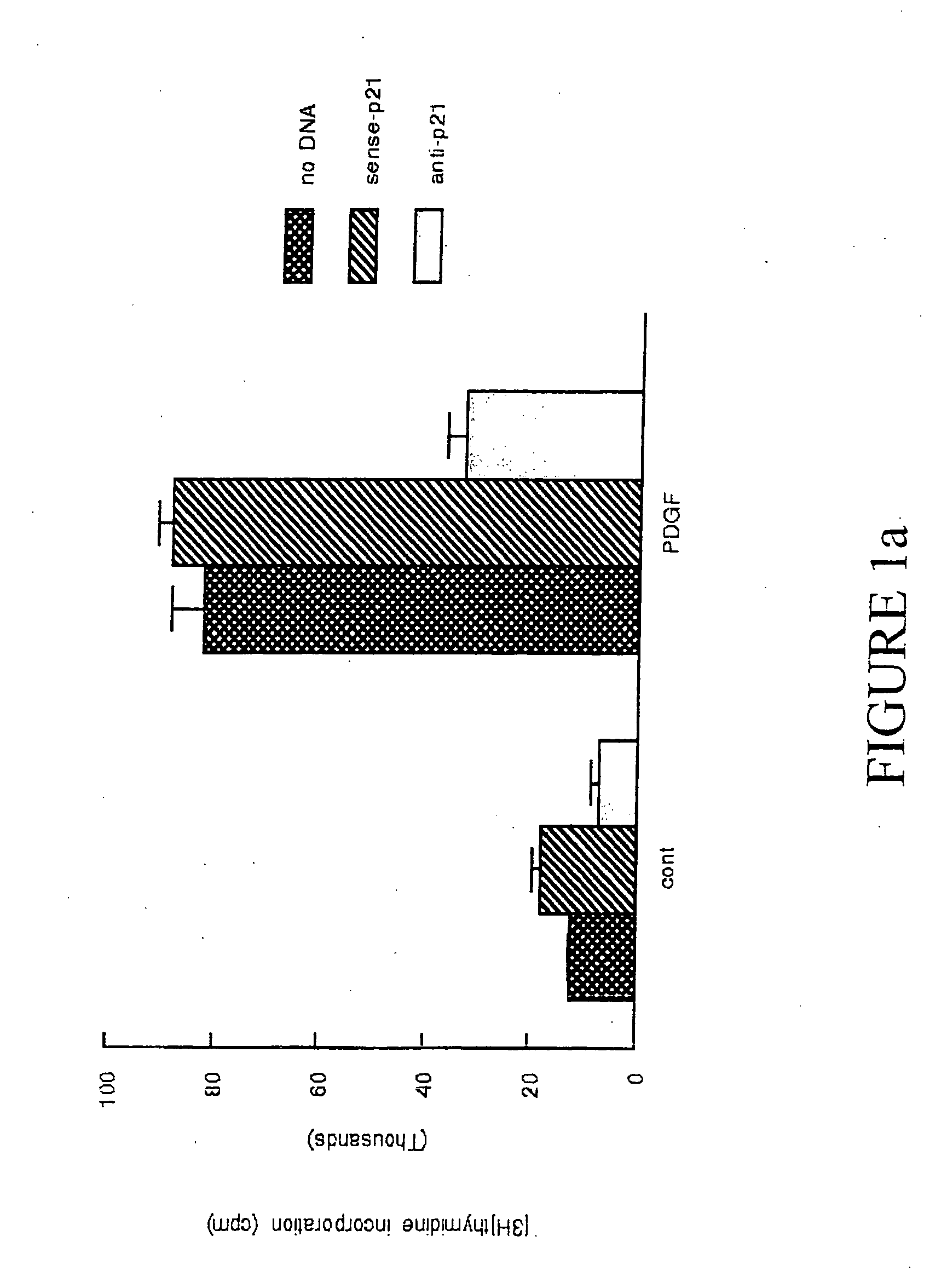 Novel specific inhibitor of the cyclin kinase inhibitor p21Waf1/Cip1 and methods of using the inhibitor