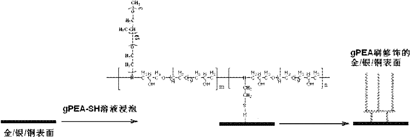 Method for modifying surface of precious metal by using stimuli-responsive polyether amine brush