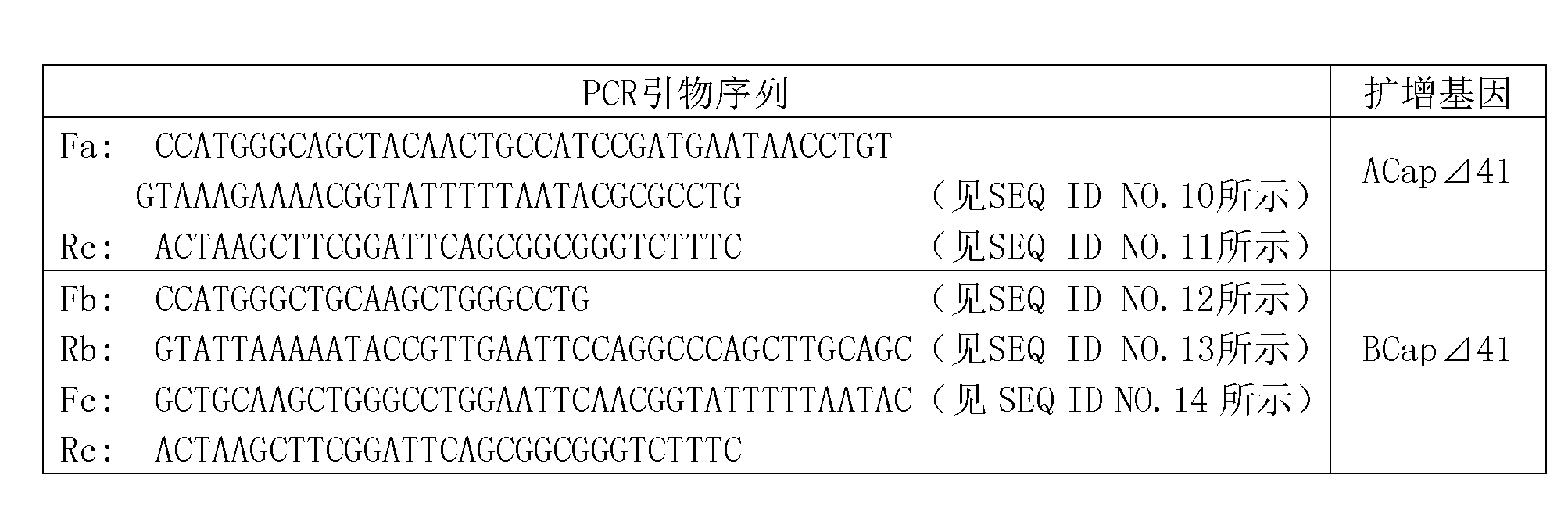 Method for preparing ELISA (enzyme-linked immuno sorbent assay) enzyme-labelled antigen through utilizing avidin binding peptide and avidin combining principle
