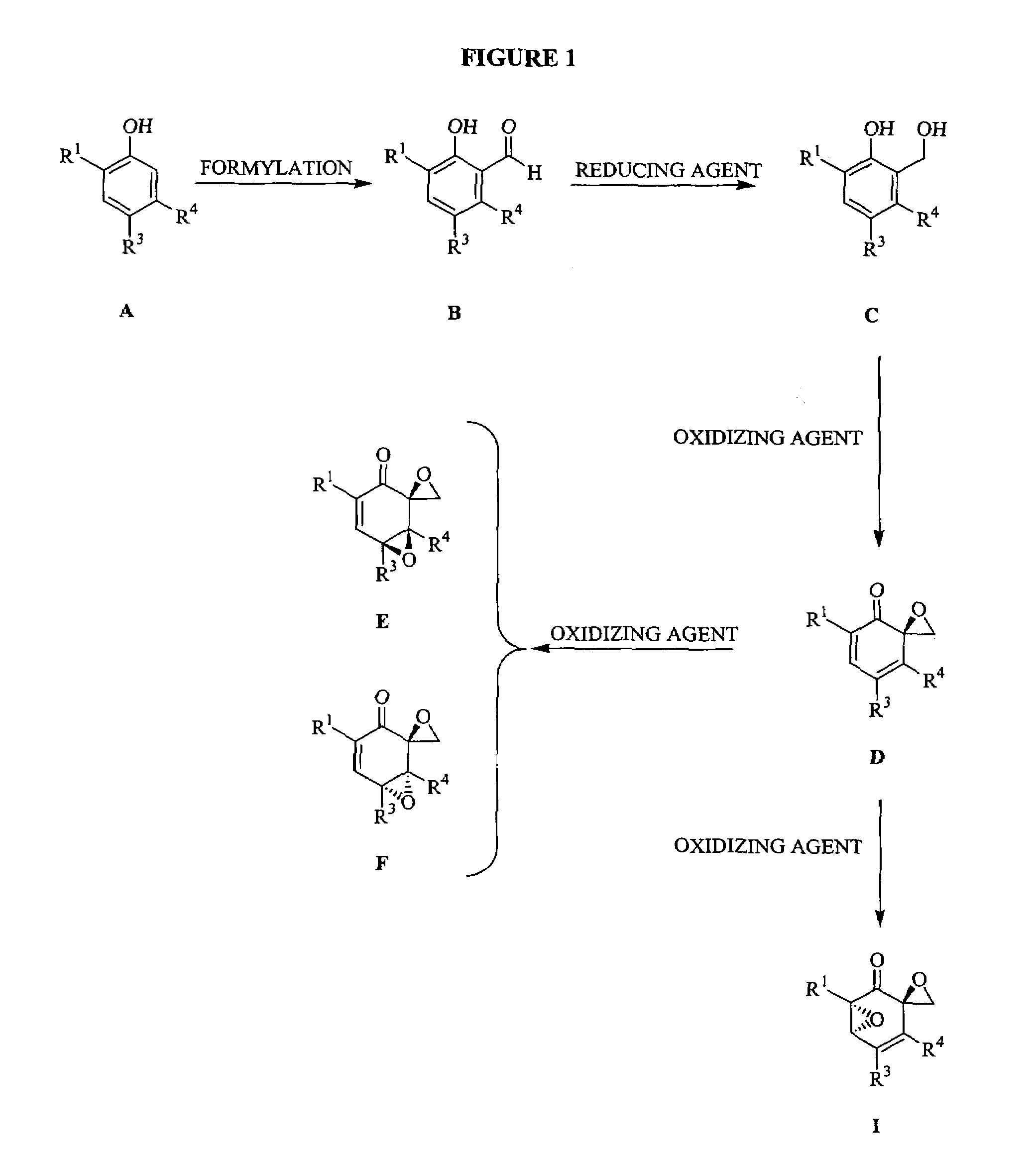 Triptolide analogs for the treatment of autoimmune and inflammatory disorders