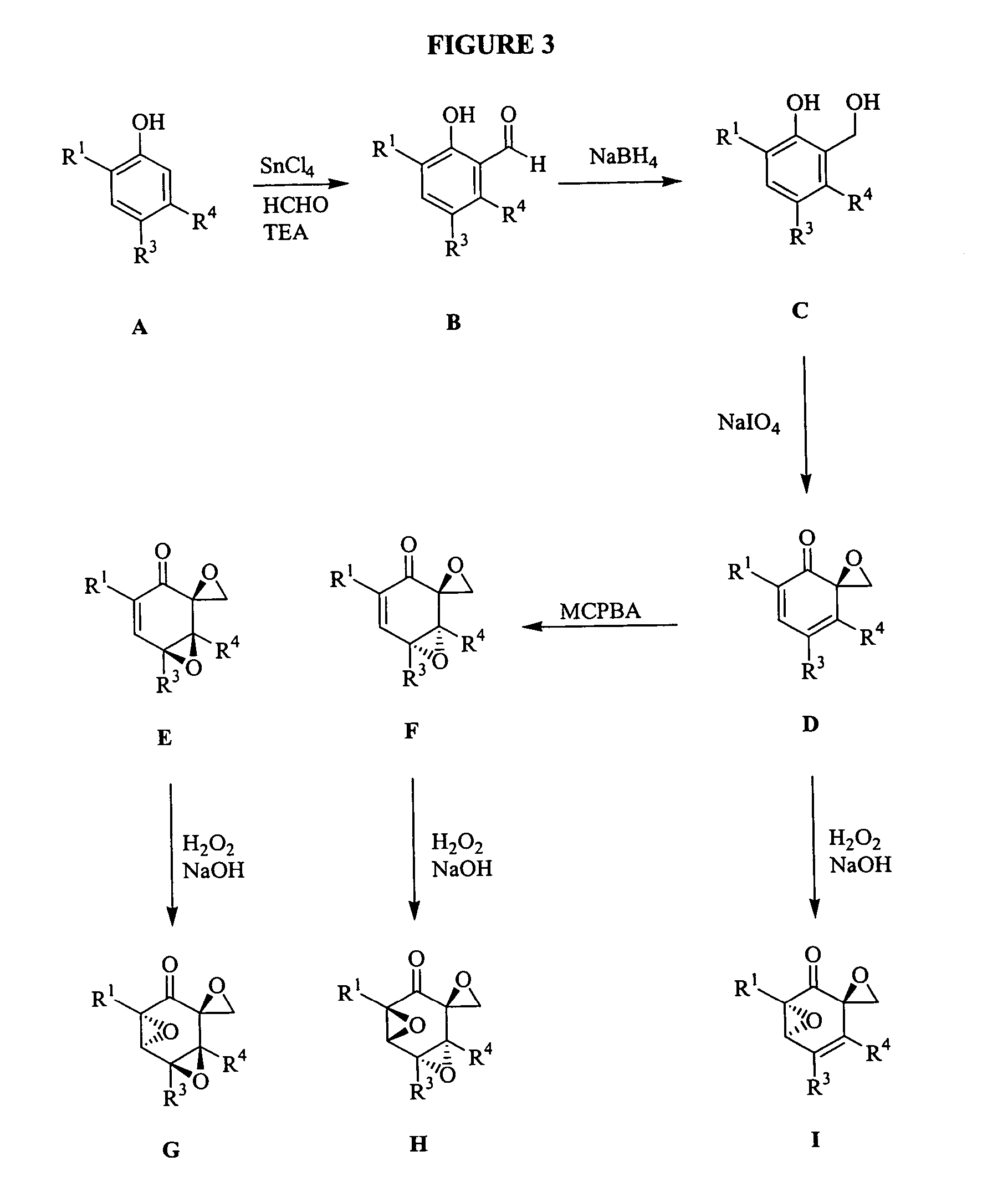 Triptolide analogs for the treatment of autoimmune and inflammatory disorders