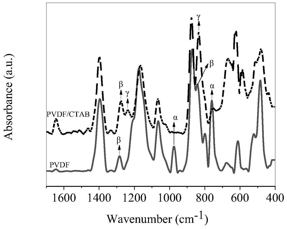 Preparation method of oriented gamma-phase PVDF/CTAB composite film