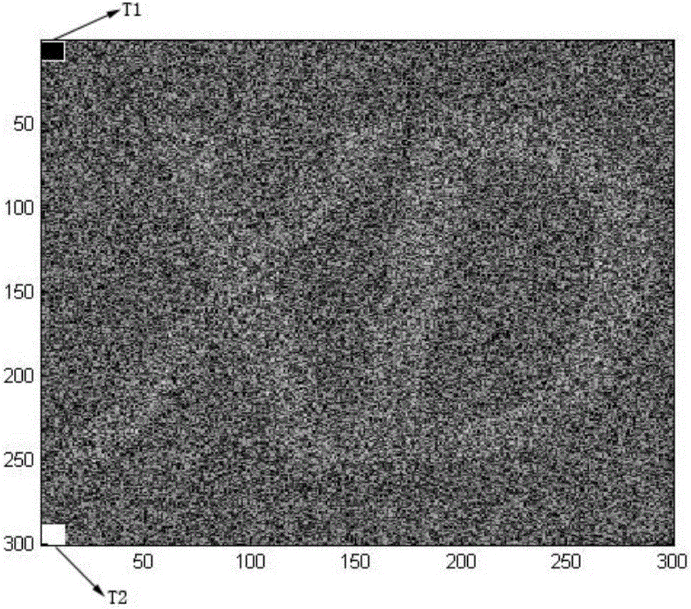 Anti-interference quantum imaging apparatus and method of weakly absorbed target by sub shot noises