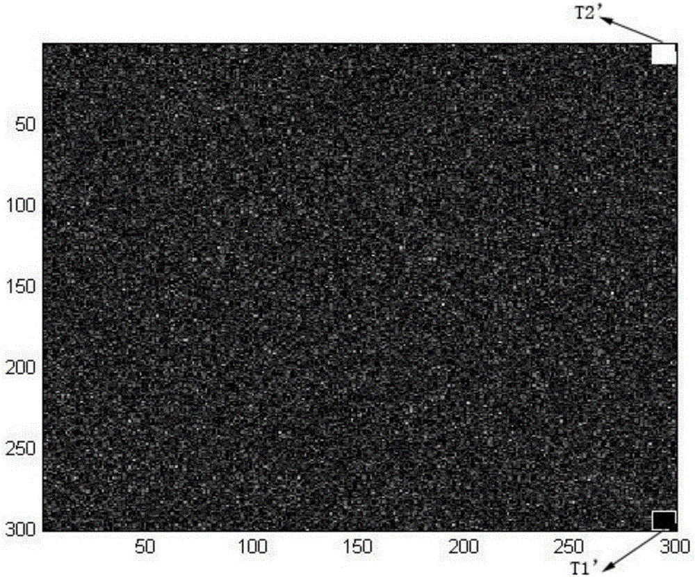 Anti-interference quantum imaging apparatus and method of weakly absorbed target by sub shot noises