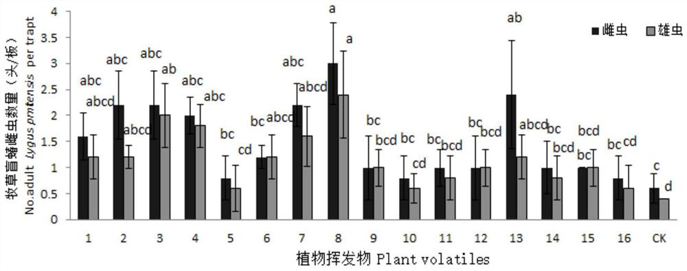 A kind of ligus attractant and its preparation method and application