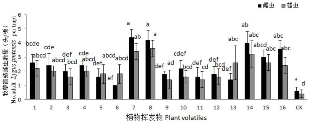 A kind of ligus attractant and its preparation method and application