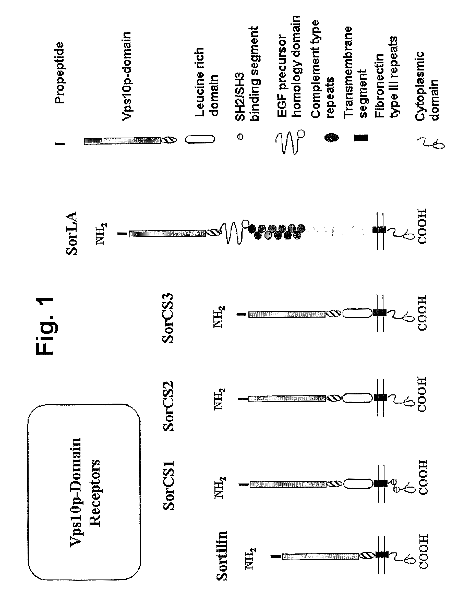 Modulation of activity of proneurotrophins