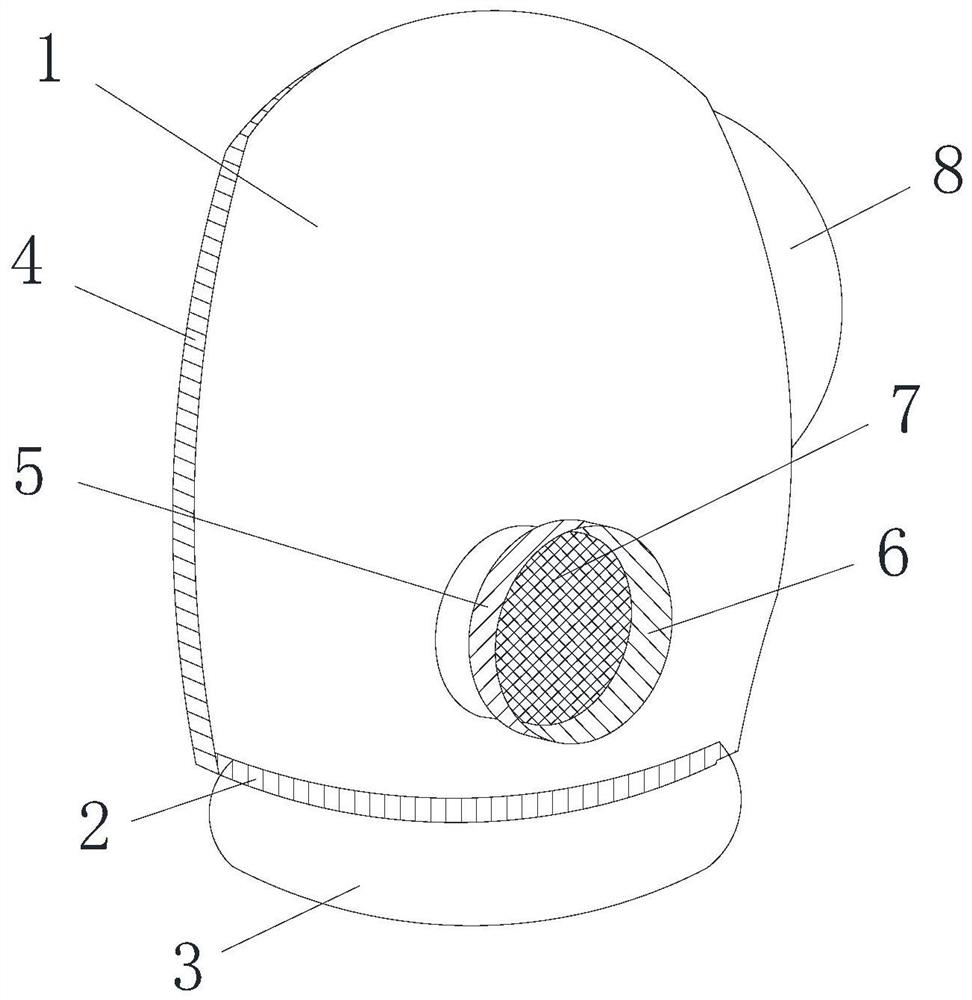 Electric air supply filtering type protective hood