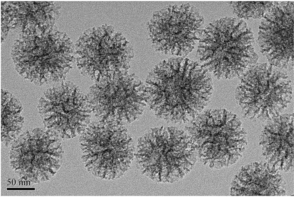 Preparation method of metal ion dosed monodisperse mesoporous silicon dioxide spherical nanoparticles