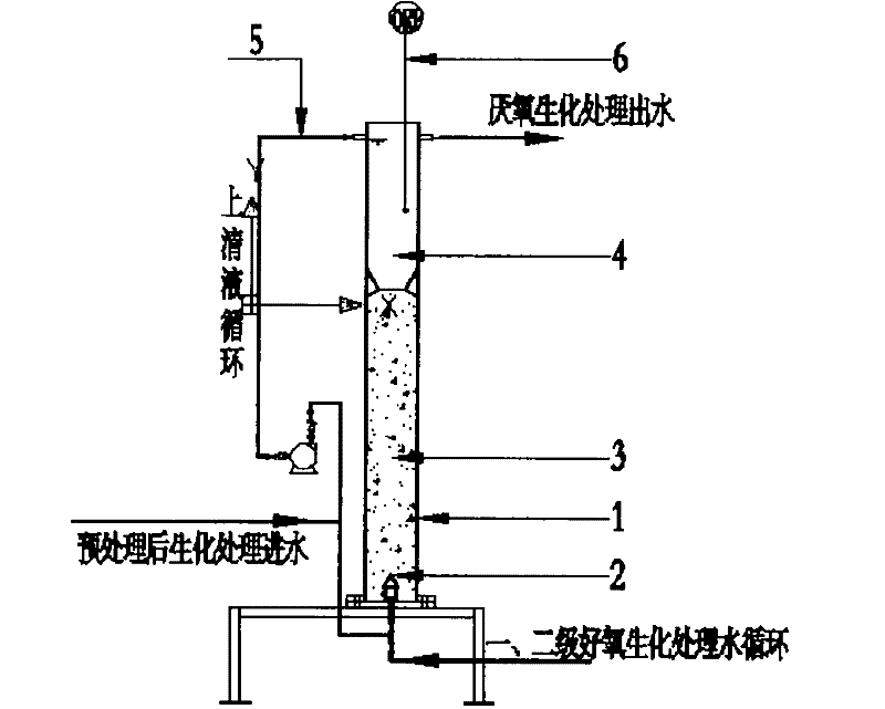 Coal gasification waste water biochemical treatment equipment and method